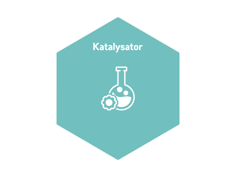 plaatje katalysator