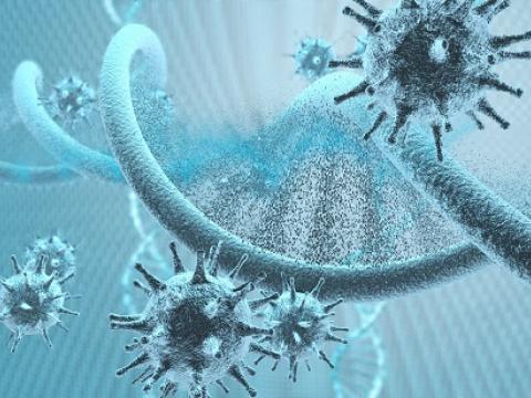 virus-bacterie