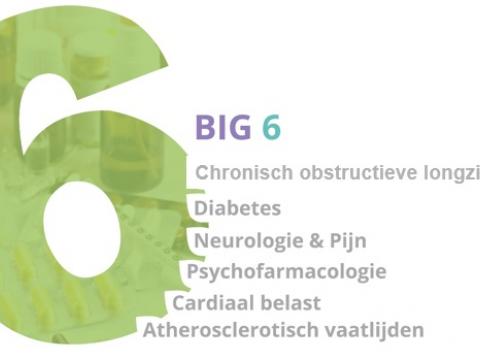 BiG-6 opfrisdagen