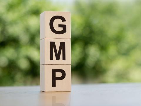 GMP UPDATE