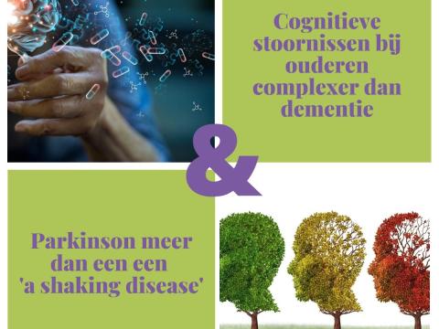 dementie en parkinson