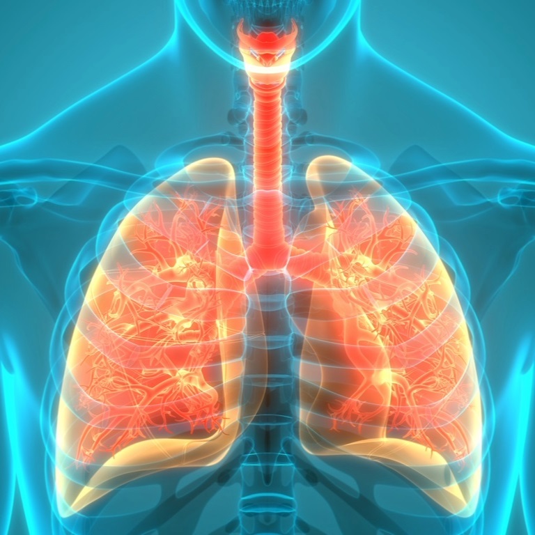 BIG-6: Astma en COPD, blended nascholing